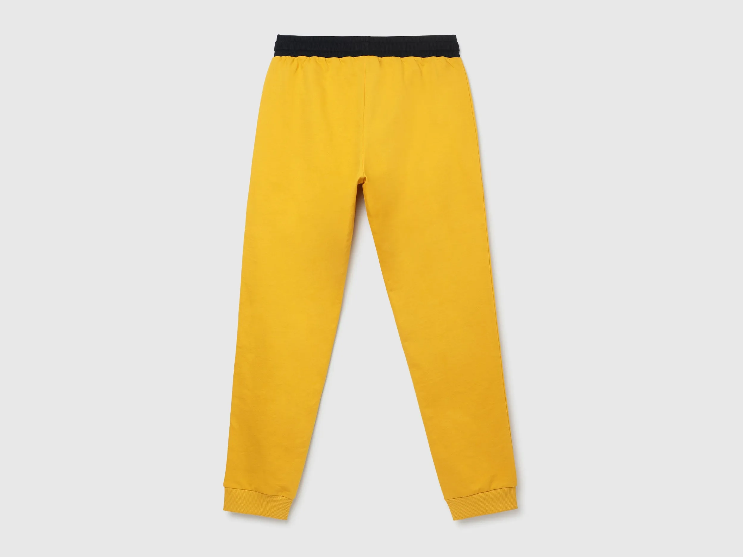 Solid Regular Fit Trousers