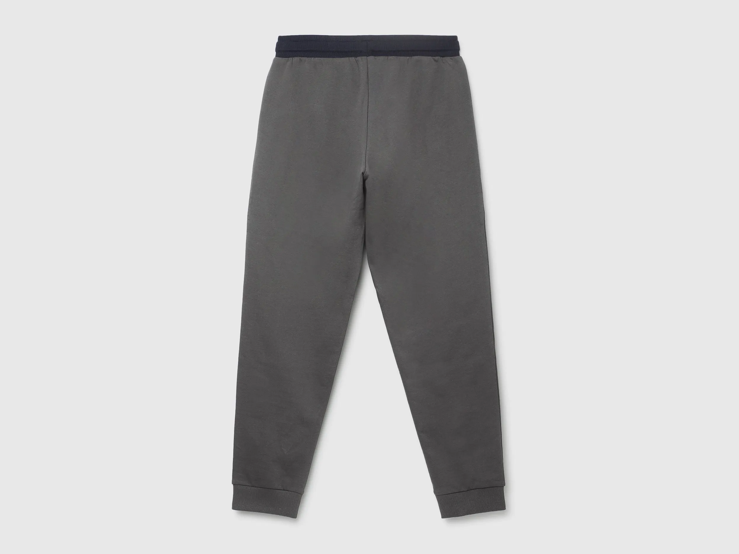 Solid Regular Fit Trousers